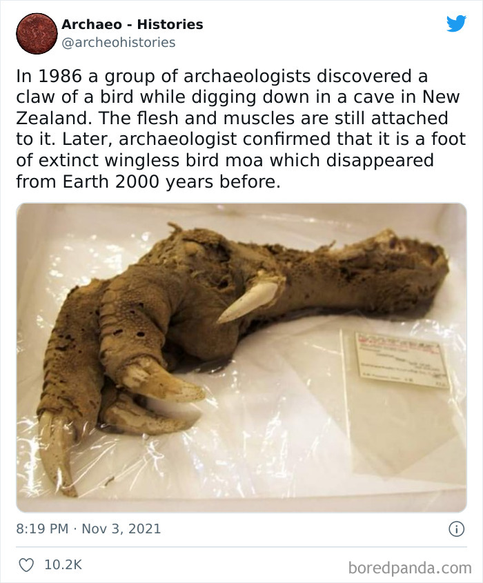 Interesting-History-Facts-Archaeo-Histories