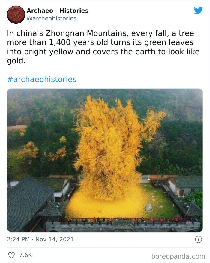 Interesting-History-Facts-Archaeo-Histories