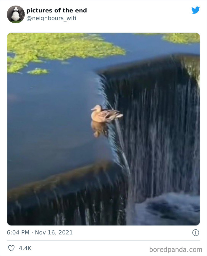 Funny-Confusing-No-Context-Images