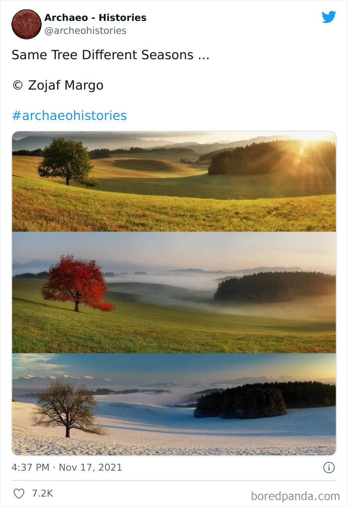 Interesting-History-Facts-Archaeo-Histories