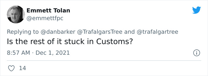 Brits Can&rsquo;t Contain Their Laughter After Norway Sent Them Their Special Christmas Tree (24 Reactions)