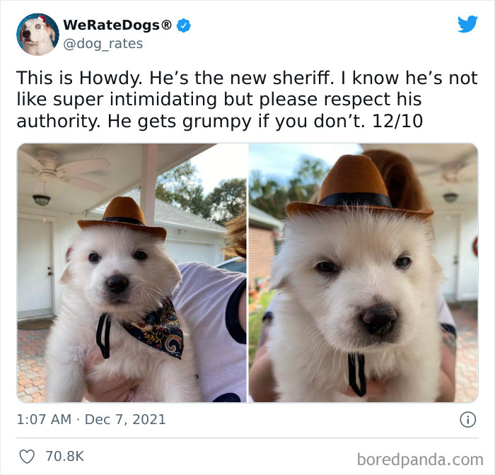 Dog-Rates-Twitter