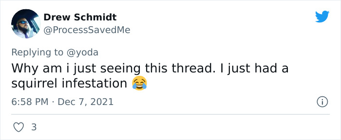 Mission "Raccoon Removal": This Guy&rsquo;s Live Tweets About How He&rsquo;s Trying To Get A Raccoon Out Of His House Are Seriously Hilarious