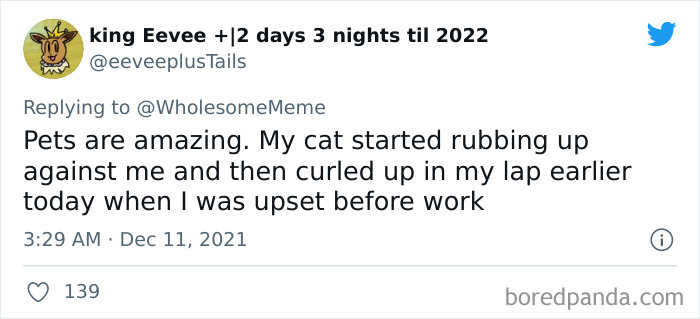 People-Share-Intelligent-Things-Their-Pets-Did