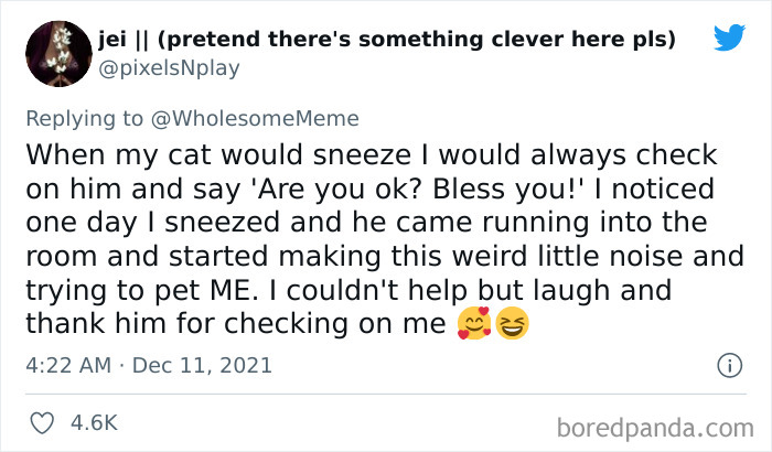 People-Share-Intelligent-Things-Their-Pets-Did