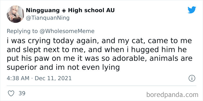 People-Share-Intelligent-Things-Their-Pets-Did