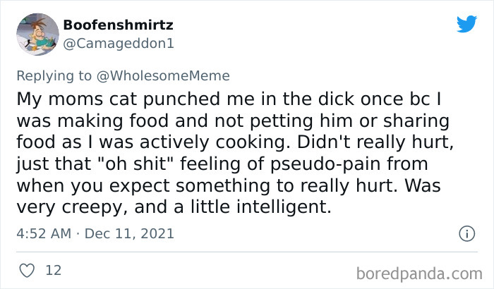 People-Share-Intelligent-Things-Their-Pets-Did