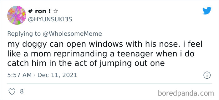 People-Share-Intelligent-Things-Their-Pets-Did