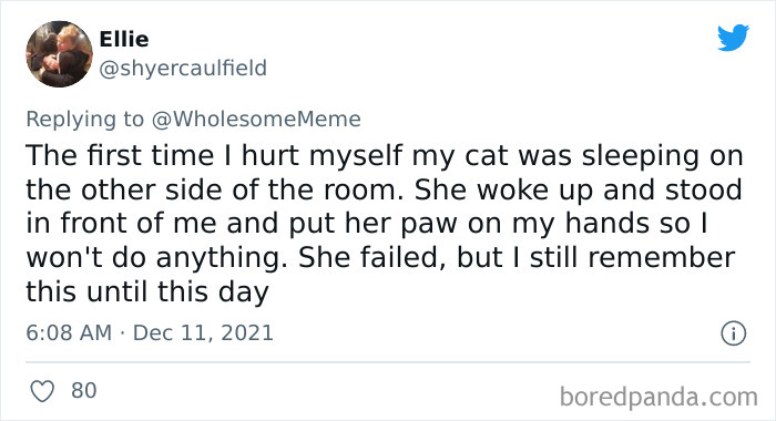 People-Share-Intelligent-Things-Their-Pets-Did