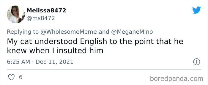 People-Share-Intelligent-Things-Their-Pets-Did