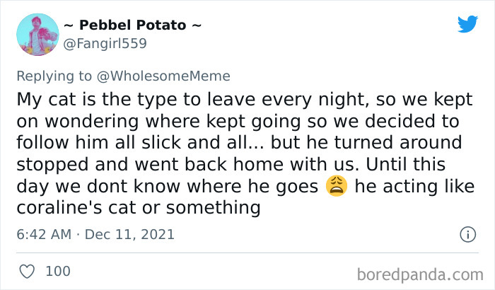 People-Share-Intelligent-Things-Their-Pets-Did