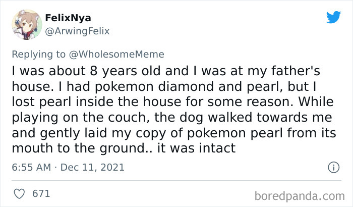 People-Share-Intelligent-Things-Their-Pets-Did