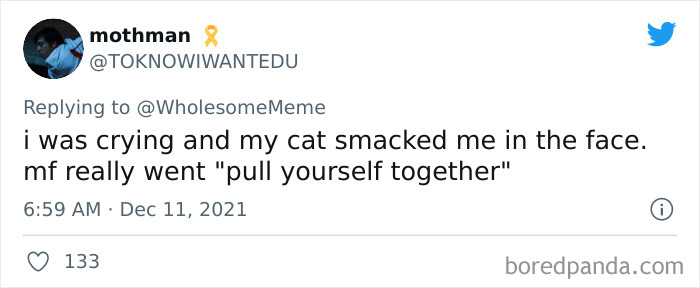 People-Share-Intelligent-Things-Their-Pets-Did