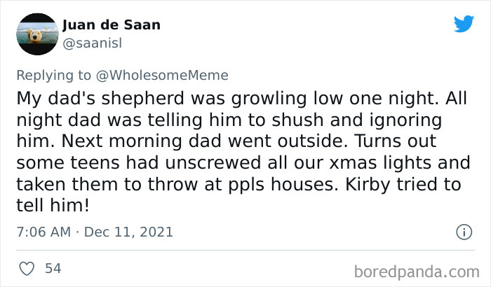 People-Share-Intelligent-Things-Their-Pets-Did