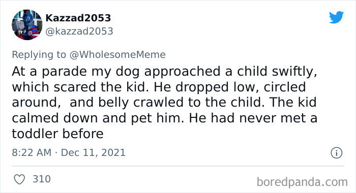 People-Share-Intelligent-Things-Their-Pets-Did