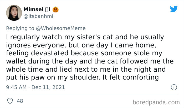 People-Share-Intelligent-Things-Their-Pets-Did