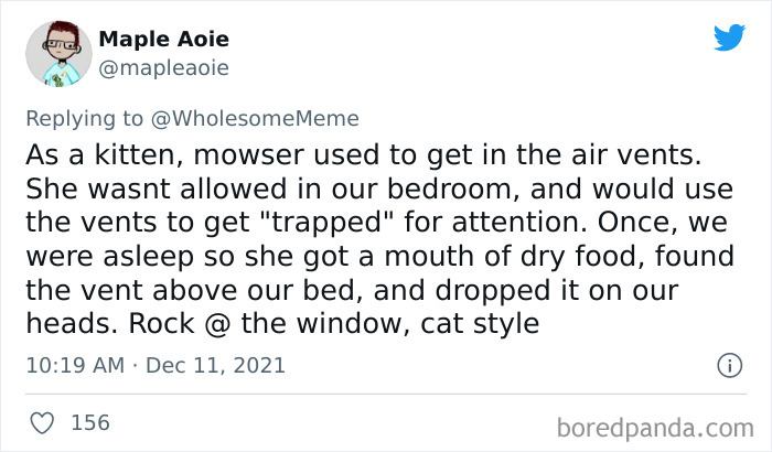 People-Share-Intelligent-Things-Their-Pets-Did