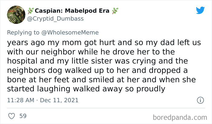 People-Share-Intelligent-Things-Their-Pets-Did