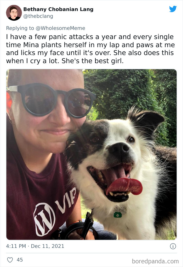 People-Share-Intelligent-Things-Their-Pets-Did