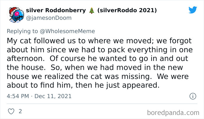 People-Share-Intelligent-Things-Their-Pets-Did