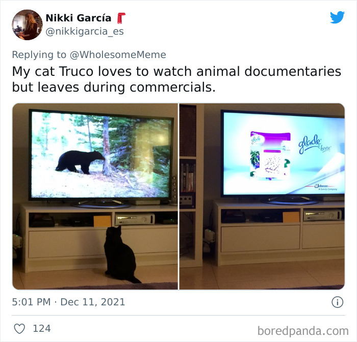 People-Share-Intelligent-Things-Their-Pets-Did