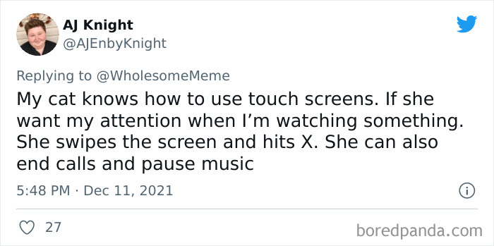 People-Share-Intelligent-Things-Their-Pets-Did