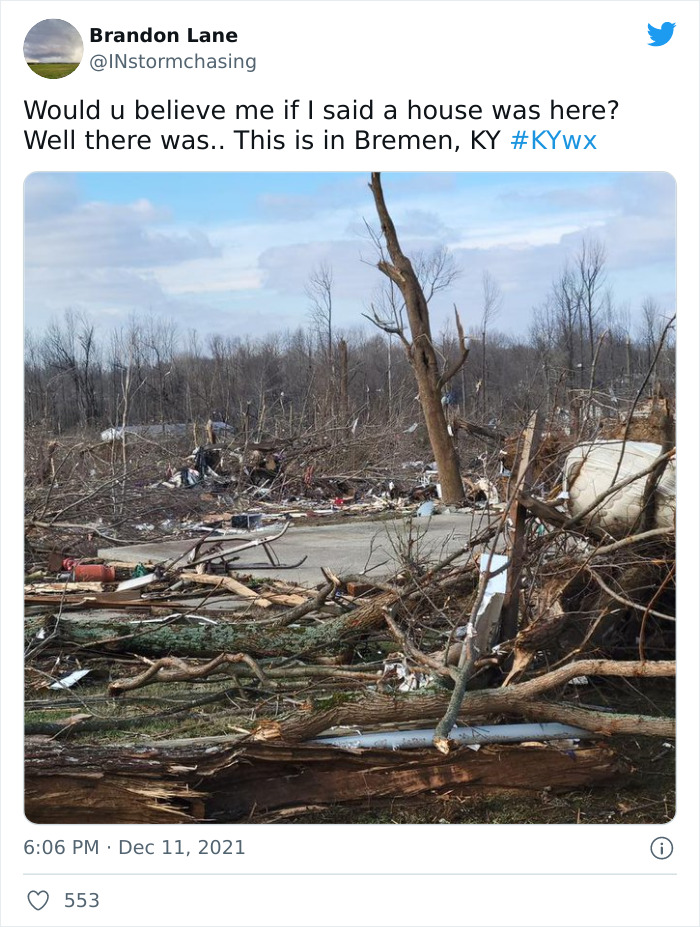 Tornado aftermath in Mayfield showing flattened trees and scattered debris in a devastated landscape. Tornado aftermath in Mayfield showing flattened trees and scattered debris in a devastated landscape.