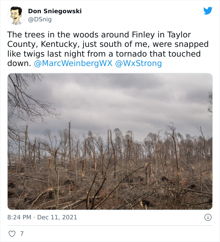 Damaged forest with snapped tree trunks and branches after Mayfield tornado aftermath in Kentucky under cloudy sky. Damaged forest with snapped tree trunks and branches after Mayfield tornado aftermath in Kentucky under cloudy sky.