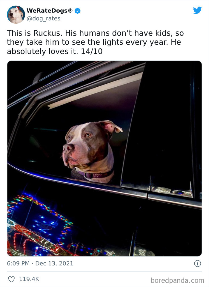 Dog-Rates-Twitter