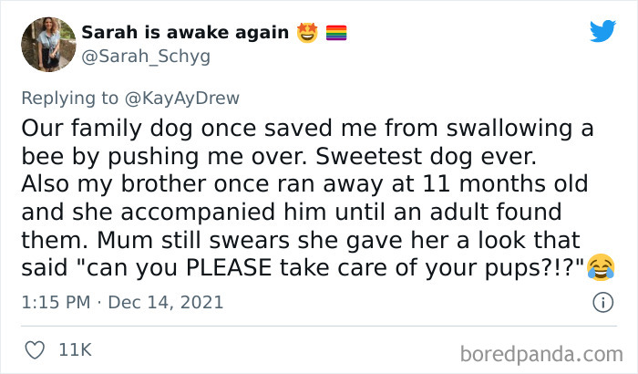 Dog-Saves-Baby-Not-Breathing