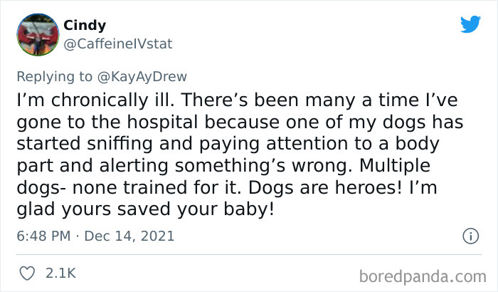 Dog-Saves-Baby-Not-Breathing