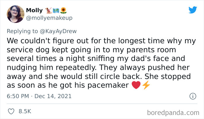 Dog-Saves-Baby-Not-Breathing