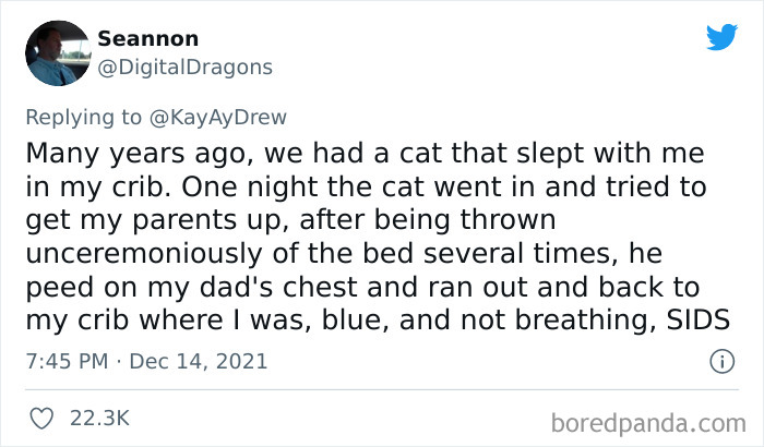 Dog-Saves-Baby-Not-Breathing