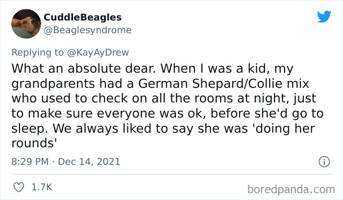 Dog-Saves-Baby-Not-Breathing