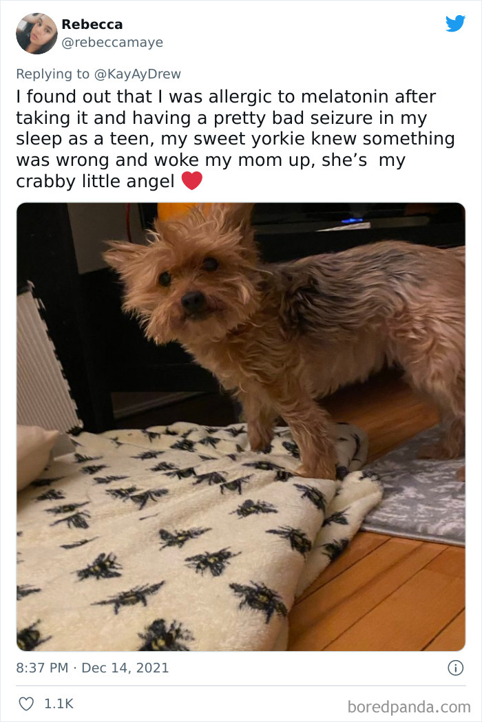 Dog-Saves-Baby-Not-Breathing