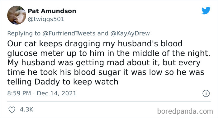 Dog-Saves-Baby-Not-Breathing