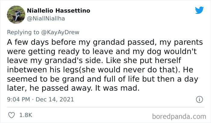 Dog-Saves-Baby-Not-Breathing