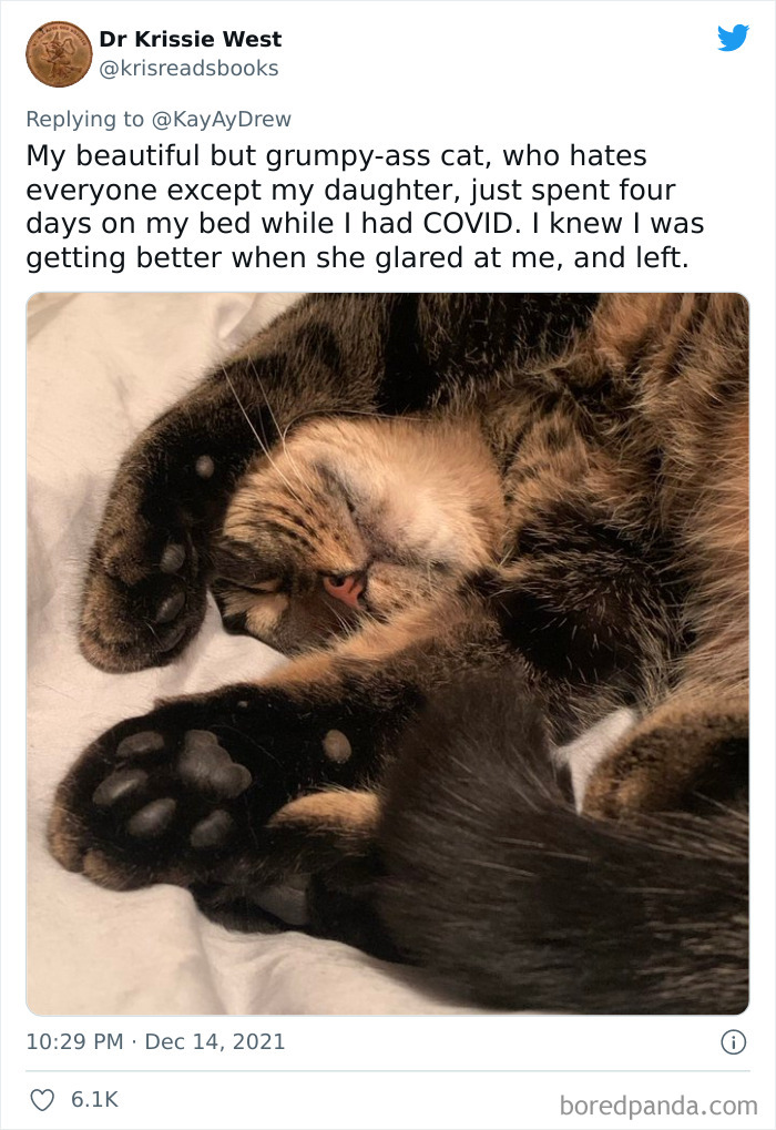 Dog-Saves-Baby-Not-Breathing