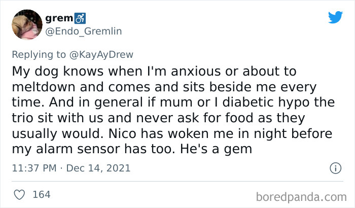 Dog-Saves-Baby-Not-Breathing