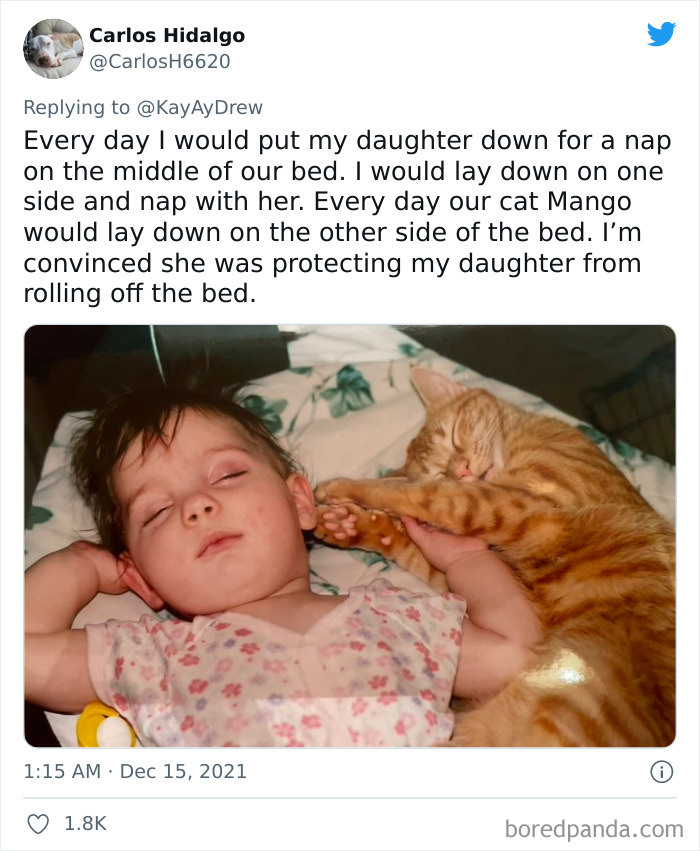 Dog-Saves-Baby-Not-Breathing