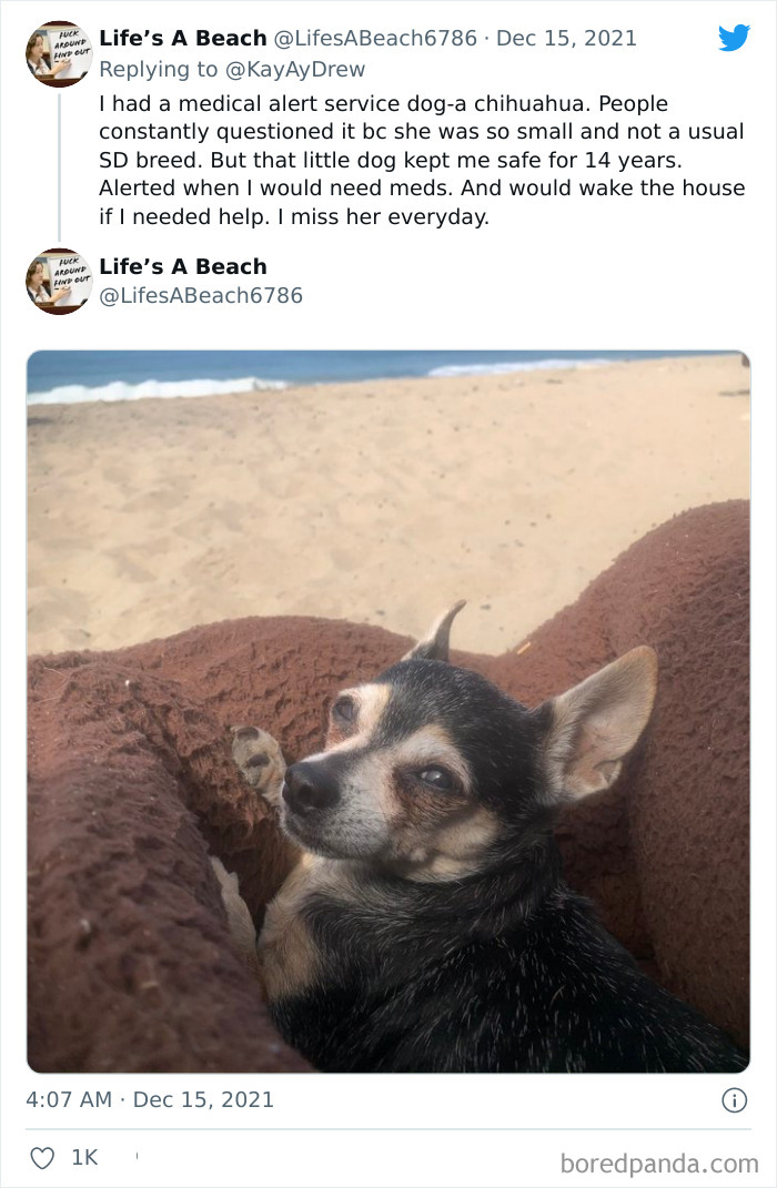 Dog-Saves-Baby-Not-Breathing