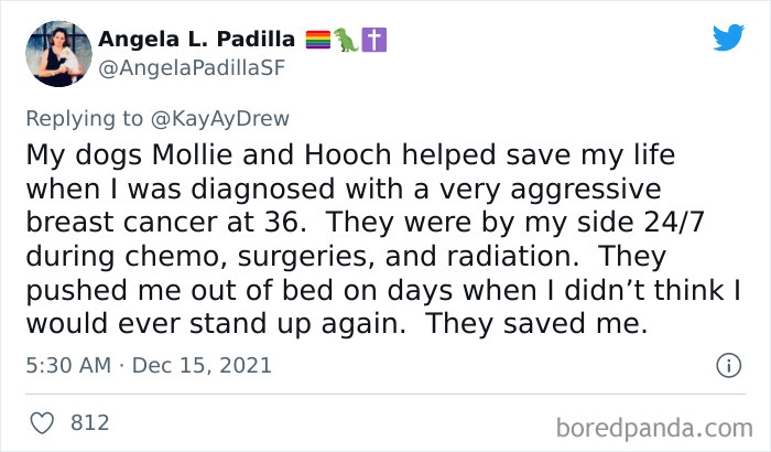 Dog-Saves-Baby-Not-Breathing