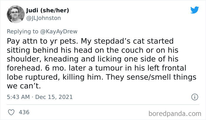 Dog-Saves-Baby-Not-Breathing