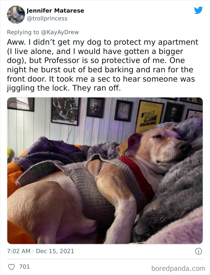 Dog-Saves-Baby-Not-Breathing