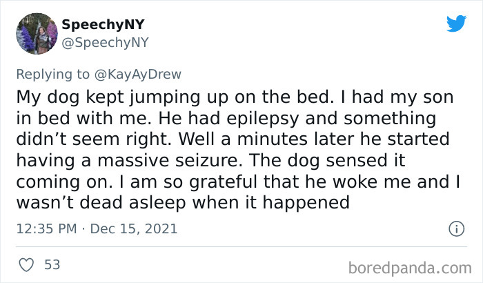 Dog-Saves-Baby-Not-Breathing