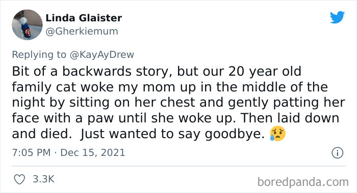 Dog-Saves-Baby-Not-Breathing