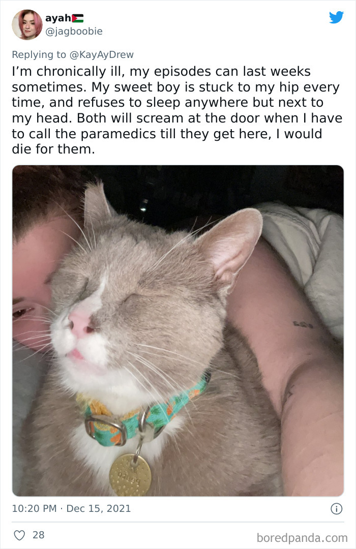 Dog-Saves-Baby-Not-Breathing