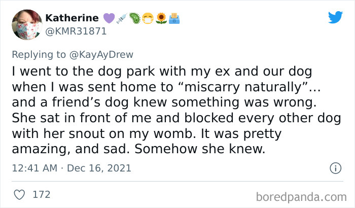 Dog-Saves-Baby-Not-Breathing