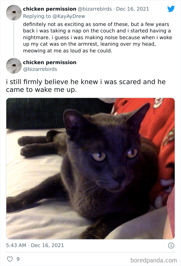 Dog-Saves-Baby-Not-Breathing