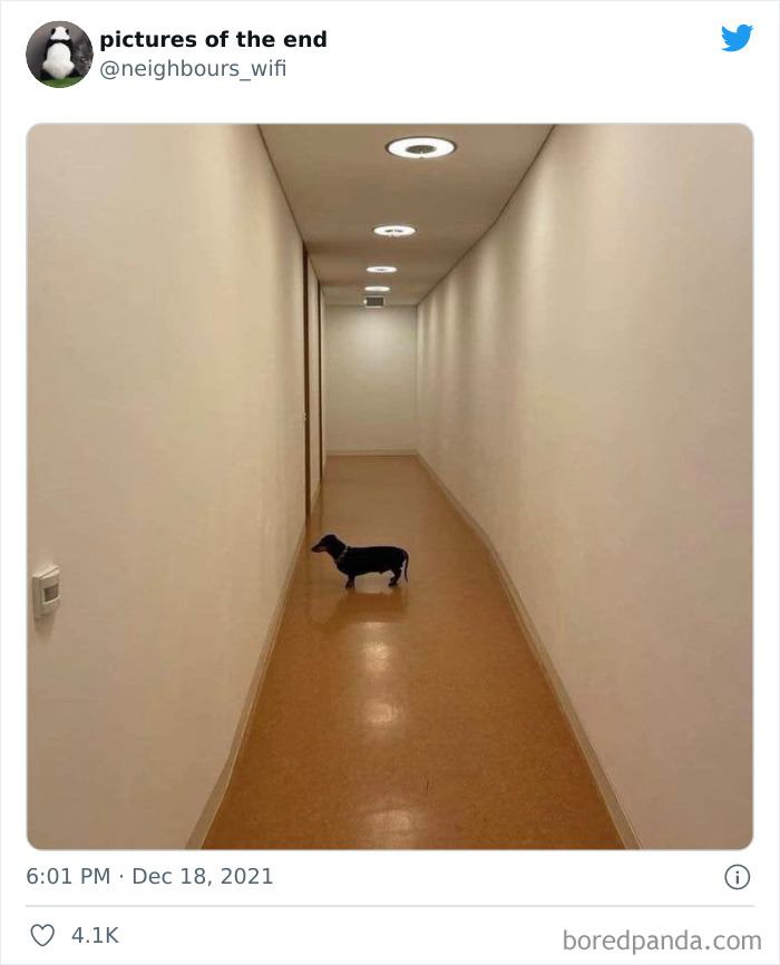 Funny-Confusing-No-Context-Images